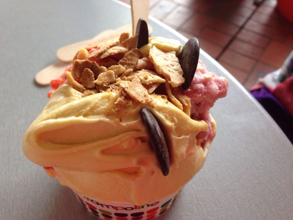 TRAMPOLINE GELATO Updated May 2024 425 Burwood Hwy, Knoxfield
