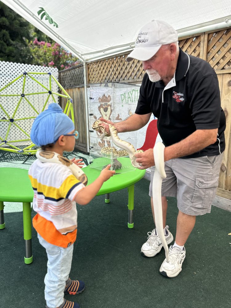 Santa Clara Montessori - childcare center in Santa Clara, CA