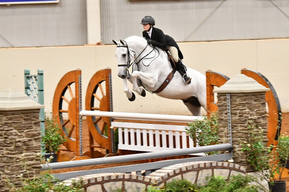 HOMEWARD FARMS Updated September 2024 5807 Pepperport Ln, Flower