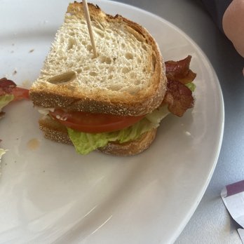 Morning Squeeze - Blt - Breakfast & Brunch Near Me - Tempe, Arizona Morning Squeeze - Blt - Breakfast & Brunch Near Me - Tempe, Arizona