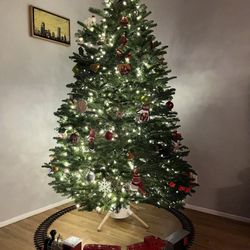 Mr Jingle's Christmas Trees