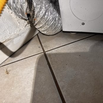 Advance Pest Solutions - Pest Control Near Me