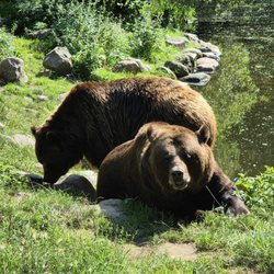 Wildpark-MV