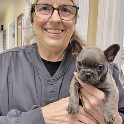 Dr. Laurie Noe - CodaPet - Dr. Laurie Noe getting puppy snuggles.