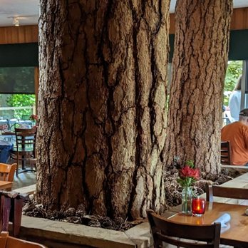 Pine Tavern Restaurant - the interior of the restaurant - American Near Me - Bend, Oregon Pine Tavern Restaurant - the interior of the restaurant - American Near Me - Bend, Oregon