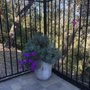 Eliseo Landscape Maintenance