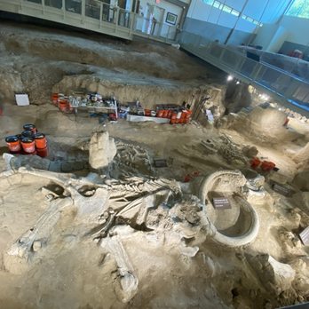 Waco Mammoth National Monument - Active dig sight - Museums Near Me - Waco, Texas Waco Mammoth National Monument - Active dig sight - Museums Near Me - Waco, Texas