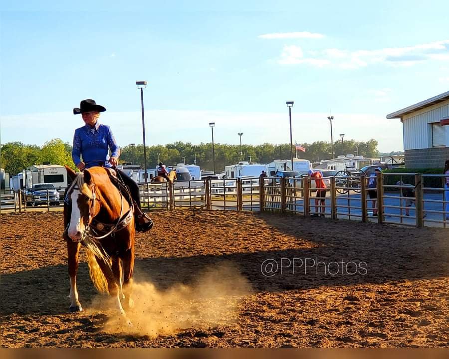 Kazanha Equestrian - equestrian in Holly Hill, SC