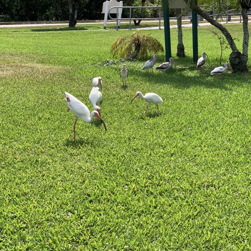 Oak Lake Park - Parks Near Me - Hollywood, Florida Oak Lake Park - Parks Near Me - Hollywood, Florida