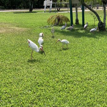 Oak Lake Park - Parks Near Me - Hollywood, Florida