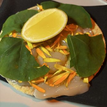 Darkroom - Raw scallops tostada $24. Amazing! - Wine Bars Near Me - Santa Ana, California Darkroom - Raw scallops tostada $24. Amazing! - Wine Bars Near Me - Santa Ana, California