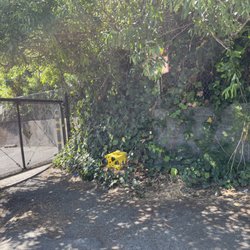 Motion activated fence separating chestnut and kearny streets