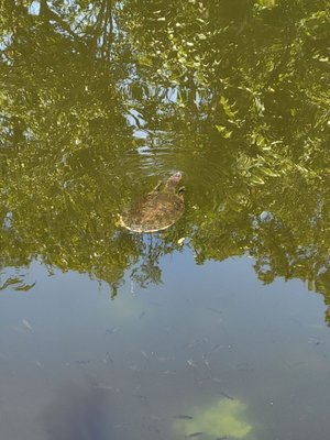 Sawgrass Lake Park by null