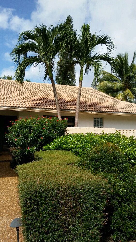 Slide of GetMyRoofCleaned