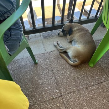 Bananas Restaurant - Dog friendly restaurant - Mexican Near Me - Barra de Navidad, JAL