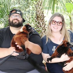 T.I.G.E.R.S. Preservation Station - Holding lemurs