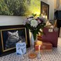 Photo of HouseCollar Vet Home Euthanasia - Dr. Andrea Leach