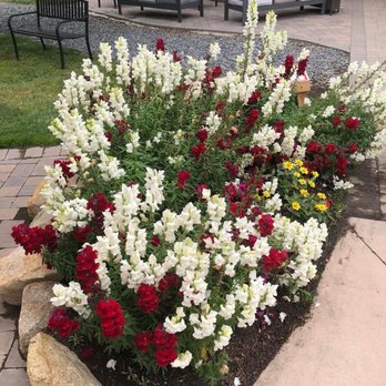 Wilson Creek Winery - Beautifully landscaped lawns. - Wineries Near Me - Temecula, California Wilson Creek Winery - Beautifully landscaped lawns. - Wineries Near Me - Temecula, California