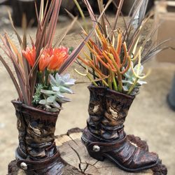 BUENA VISTA NURSERY
