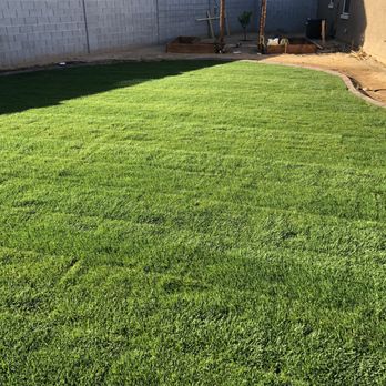 Green Valley Sod - 3 days later after the sod went down. Looked better than the first. It had roots the day after. - Artificial Turf Near Me - Higley, Arizona Green Valley Sod - 3 days later after the sod went down. Looked better than the first. It had roots the day after. - Artificial Turf Near Me - Higley, Arizona