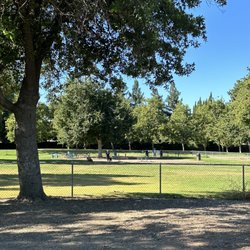 Max Baer Dog Park