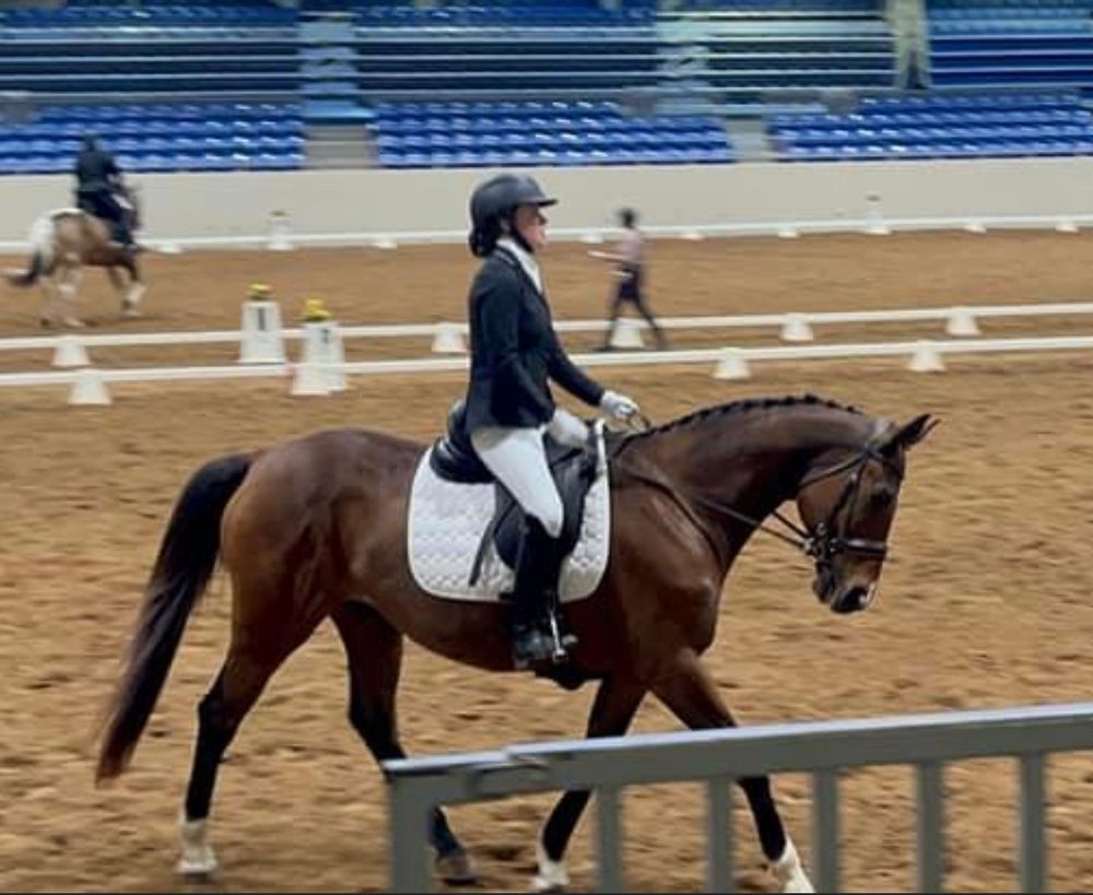Lightning L Ranch - equestrian in Oklahoma City, OK