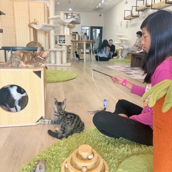 Fluffy Tail Cafe - Coffee & Tea Near Me - Tustin, California