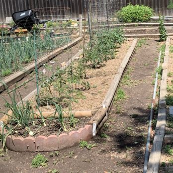 Fanick's Garden Center - Nurseries & Gardening Near Me - San Antonio, Texas