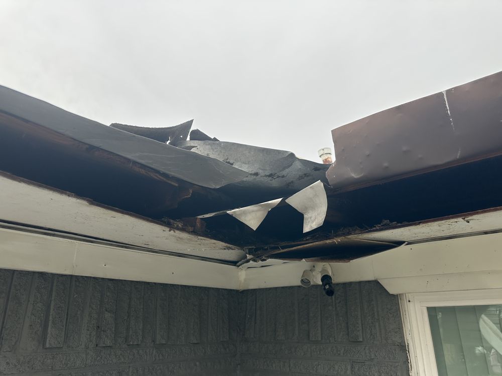 Slide of Beyond Shingles