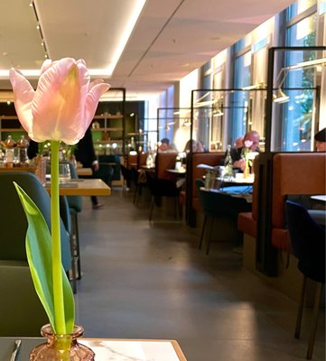 Restaurant Kö59 by null