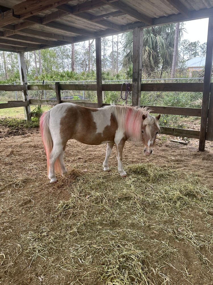 ENDLESS TRAILS STABLES Updated August 2024 19201 Matt Rd, North