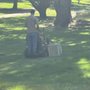 Verde Green Lawn Care