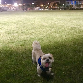 Julian B Lane Riverfront Park - Parks Near Me - Tampa, Florida
