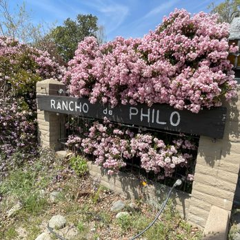 Rancho De Philo Winery - Entry signage. - Wineries Near Me - Rancho Cucamonga, California Rancho De Philo Winery - Entry signage. - Wineries Near Me - Rancho Cucamonga, California