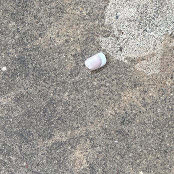 Pelican Bay Aquatic Center - Nail found on the ground - Swimming Pools Near Me - Edmond, Oklahoma Pelican Bay Aquatic Center - Nail found on the ground - Swimming Pools Near Me - Edmond, Oklahoma