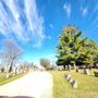 Photo of Bluff City Cemetery