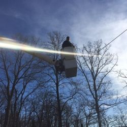 Ron's Tree Service & Stump Grinding - Tree work and stump removal