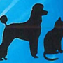 Photo of Canine Feline Design