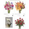 Vann Jernigan Florist gift card