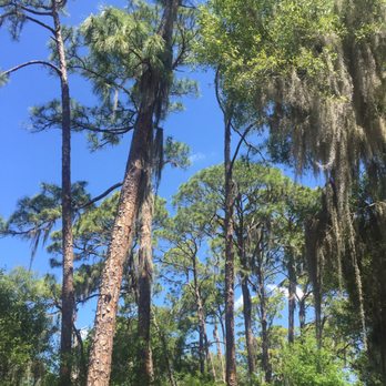 Lake Seminole Park - Bring a hat, sunglasses, and wear your sunscreen. Some parts of the pathways aren't in the shade - Parks Near Me - Seminole, Florida