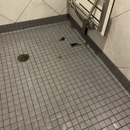 Thats human hair. Go ahead and zoom in. This is in the womans locker room.