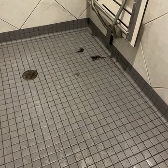In-Shape Fitness - Thats human hair. Go ahead and zoom in. This is in the womans locker room. - Gyms Near Me - Modesto, California