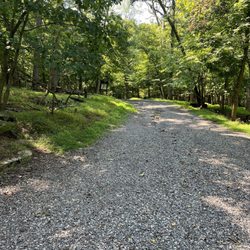 Mills Reservation