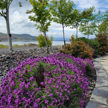Jacob Williams Winery - Beautiful vitas - Wineries Near Me - Wishram, Washington Jacob Williams Winery - Beautiful vitas - Wineries Near Me - Wishram, Washington
