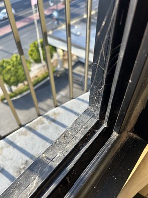 Oakland Airport Executive Hotel by null