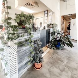 Molly’s Coffee Company - Loved all the plants! Such a cozy, inviting space.