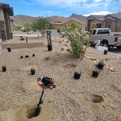 Big Ants Landscaping - In the middle of planting the cactus, pre-digging all the holes.