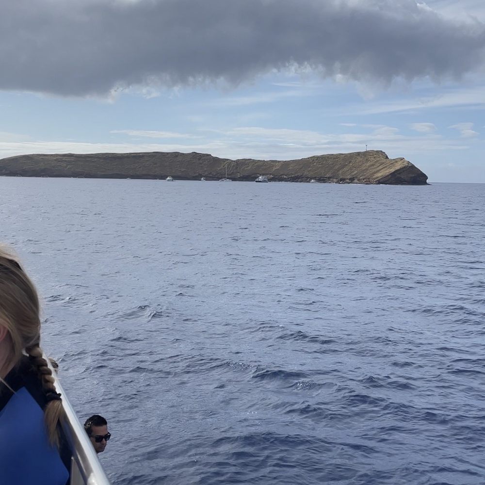 Four Winds Molokini Maui Snorkel Tour - Molokini Crater for snorkeling - Snorkeling Near Me - Maalaea, Hawaii Four Winds Molokini Maui Snorkel Tour - Molokini Crater for snorkeling - Snorkeling Near Me - Maalaea, Hawaii
