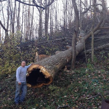 Tree Busters - Tree Services Near Me Tree Busters - Tree Services Near Me