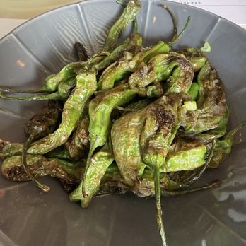 Encina - Shishitos appetizer - New American Near Me - Dallas, Texas